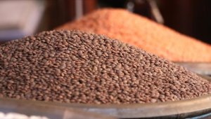 Dünya Bakliyat Konfederasyonu Başkanı Brown: Baklagiller hem toprağı hem de insanı besleyen bir ürün