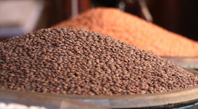 Dünya Bakliyat Konfederasyonu Başkanı Brown: Baklagiller hem toprağı hem de insanı besleyen bir ürün
