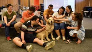 Eğitimli köpek 'Max' Down sendromlu çocukların yol arkadaşı oldu