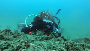 Fotoğraf tutkunları Mersin kıyılarındaki su altı kanyonları için dalıyor