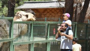 Gaziantep Hayvanat Bahçesi'nde bayram yoğunluğu