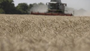 Gıda krizinin çözümünde Türkiye'nin diplomasi zaferi