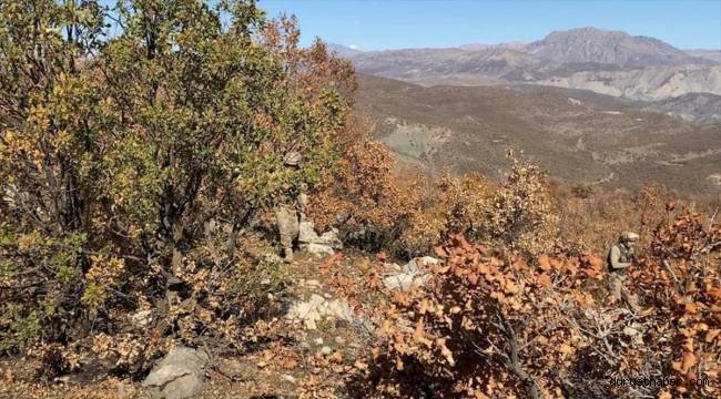 İçişleri Bakanlığınca Bitlis'te Eren Abluka-24 operasyonu başlatıldı