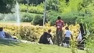 İki kadının Bahçeşehir Gölet Parkı'nda kaz çaldığı ileri sürülmüştü: Emniyetten açıklama geldi