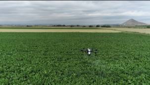 Ilgın Belediyesi'nden drone ile ilaçlama desteği