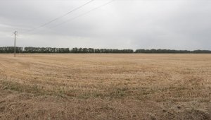 İtalya'da kuraklık, tarım sektörünü zorlamaya devam ediyor