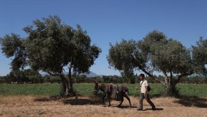 Japon turist Merzifon'dan aldığı eşekle adım adım Türkiye'yi gezdi