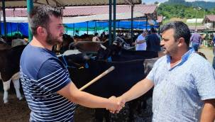 Kapasitesi Geliştirilen Hayvan Pazarına Tam Not!