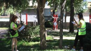 Kartal Belediyesi, Yeşil Dostu Çalışmalarına Ara Vermeden Devam Ediyor