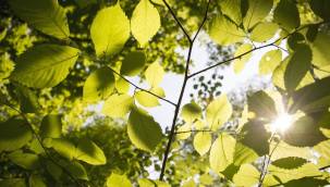 Kayseri’de yağışlar bitiyor, sıcaklıklar yükseliyor | 2-3 Temmuz 2022 hava tahmini