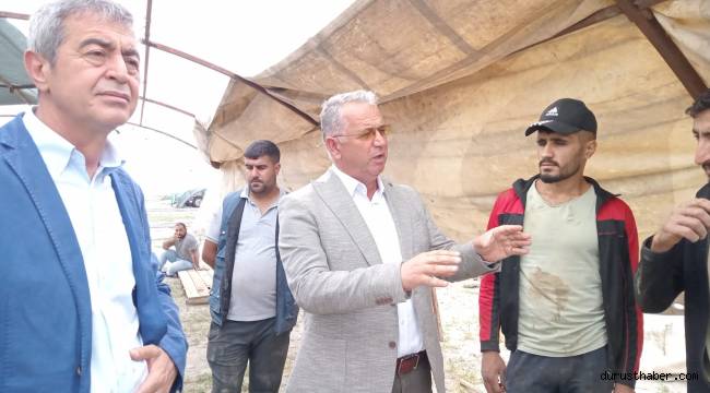 Kazım Yücel Hayvan Pazarı
