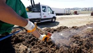 Kocaeli’de kurban pazar yerleri ilaçlanıyor