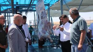 Kocasinan'dan 12 Ayrı Noktada Profesyonel Kurban Hizmeti 