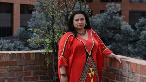 Kolombiya'da Temsilciler Meclisine üye seçilen ilk yerel topluluk lideri Ramirez, AA'ya konuştu