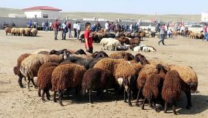 Kurban kesme duası: Diyanet kurban keserken okunacak dua hangisi? Kurban keserken tekbir nasıl getirilir? .