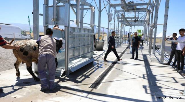 Kurban Pazarında Büyükbaş ve Küçükbaş Kesim Üniteleri Hazırlandı