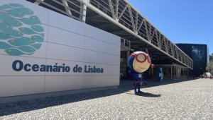 Lizbon'daki "Okyanus Akvaryumu" yılda 1 milyonun üzerinde ziyaretçiyi ağırlıyor