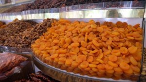 Malatya'dan yılın ilk yarısında 168 milyon dolarlık kuru kayısı ihracatı