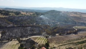 Manisa'da 185 hektar alanın zarar gördüğü yangına ilişkin 2 kişi tutuklandı