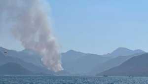 Marmaris'te orman yangını başladı