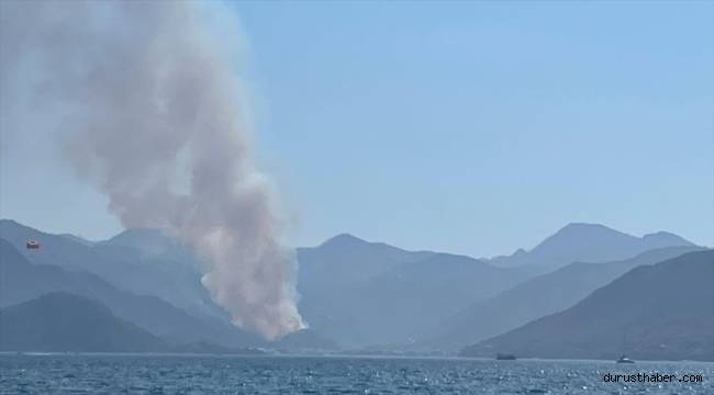 Marmaris'te orman yangını başladı