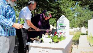 Mezarlıklarda Vatandaşlara Begonya Dağıtıldı 