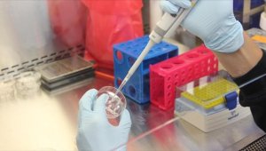 Sağlık Bakanlığı "maymun çiçeği" rehberi hazırladı