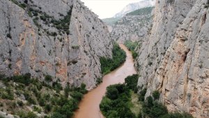 Sakarya Nehri boyunca uzanan 1 kilometrelik kanyon doğa tutkunlarını bekliyor