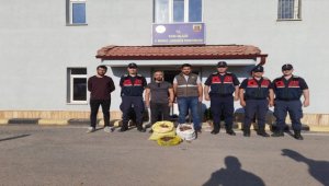 Sivas'ta salep soğanı toplayan 9 kişiye 986 bin 337 lira ceza