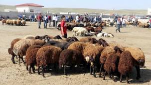 Son dakika! Satılmayan kurbanlıkları Et ve Süt Kurumu alacak