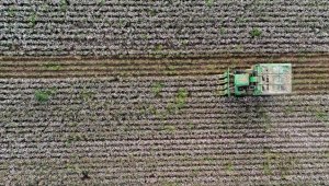 Tarım grubundan ihracatta ilk yarı rekoru