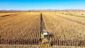Tarımsal Kuraklık Yönetiminin çalışma esasları düzenlendi