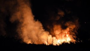 Ukraynalı firmaya ait, 'tehlikeli madde' taşıyan bir uçak Kavala'ya düştü