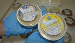 Üniversite, manda sütlü 9 çeşit dondurmayı markalaştıracak