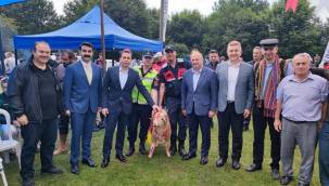 Ünye'de güreş severle karaarmut'ta buluştu