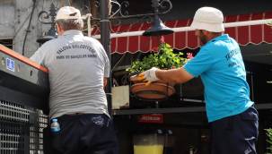 Yalova Çiçek Açıyor 