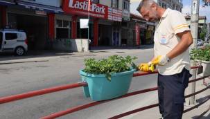 Yalova'nın Dört Bir Yanı Çiçek Açtı 
