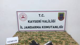 Yasadışı kenevir ekimi yapan 2 kişiye gözaltı