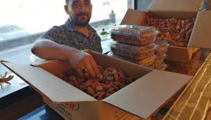 Yeşilhisar'a Kayısı için 10 Milyonluk yatırım