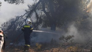 Yunanistan'da orman yangınları devam ediyor