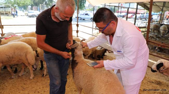 Yüreğir’de Kurban Satış Ve Kesim Yerleri Belirlendi