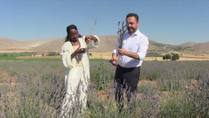 ABD'li şarkıcı Della Miles, Kahramanmaraş'ta lavanta hasat etti