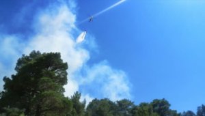 Antalya Kaş'taki orman yangınına karadan ve havadan müdahale ediliyor