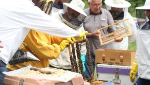 Arı yetiştiricileri ilkleri KO-MEK’te öğreniyor