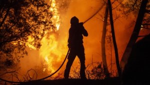 Avrupa'da iklim değişikliği son yılların en yoğun orman yangınlarına yol açıyor