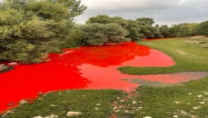 Balıkesir'deki Karapürçek Deresi'nde kirliliğe neden olan kişiye para cezası