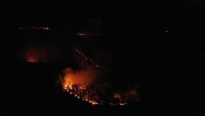 Balıkesir'deki orman yangını kontrol altına alındı