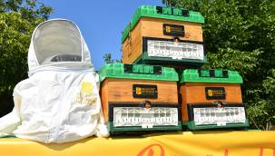 BBB’den kadın arıcılara kovan desteği 