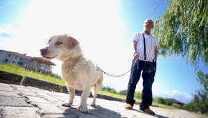 "Can dostu"yla huzurevinde hayatı paylaşıyor