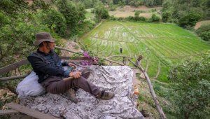 Çukurca'da çiftçiler ağaç üzerinde yaban domuzu nöbeti tutuyor